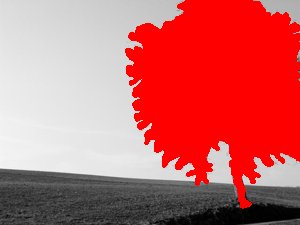 DSCN6805_16 